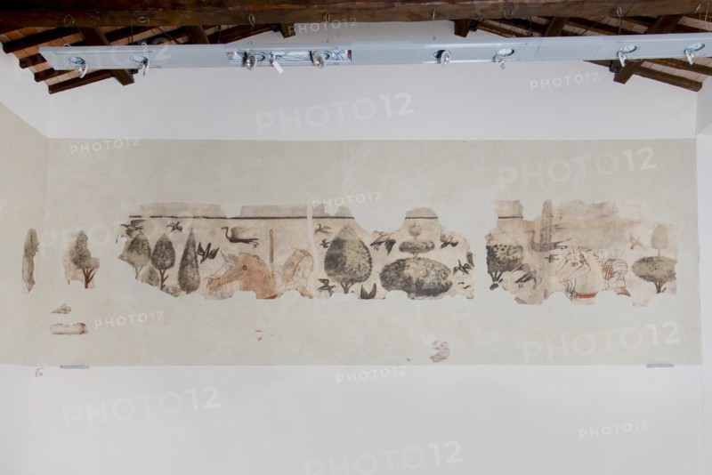 Frescoes in the Town Hall of Esanatoglia