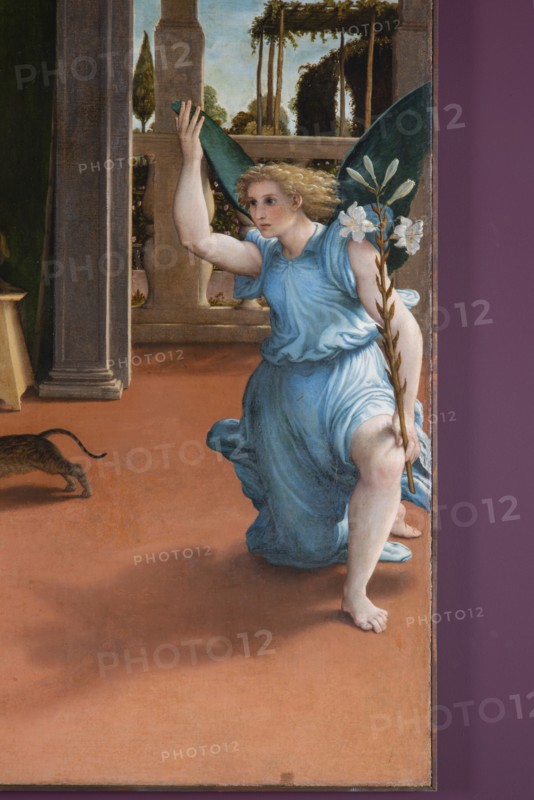 Lorenzo Lotto, Annunciation. The announcing angel