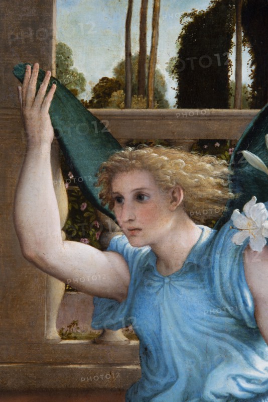 Lorenzo Lotto, Annunciation. The announcing angel