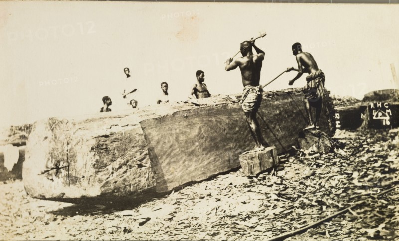 Preparing mahogany