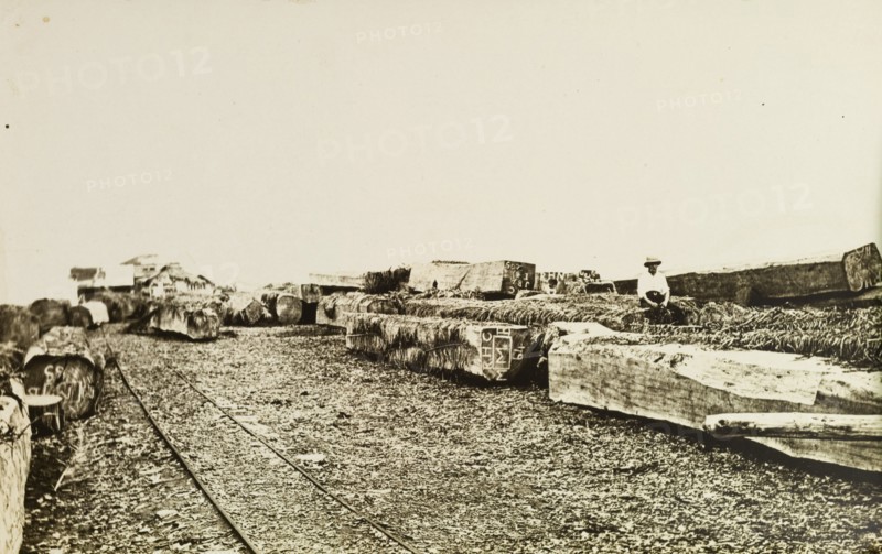 Wood awaiting shipping