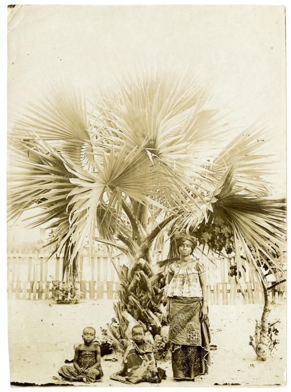 Sheltering under a palm, West Africa