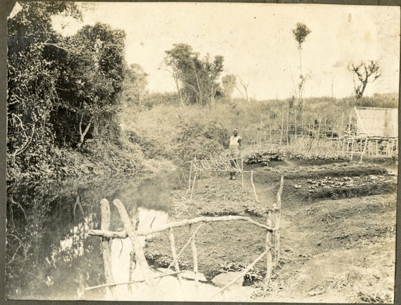 Source of River Nile