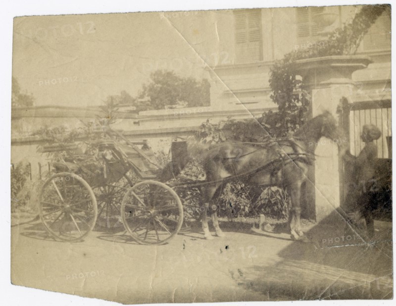 Horse-drawn cart outside building