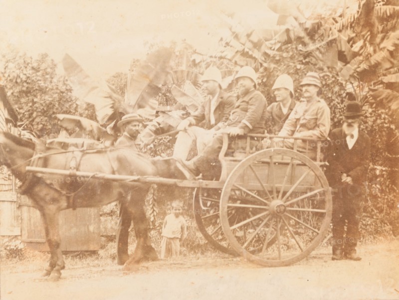 European men seated in horse drawn cart, Mauritius