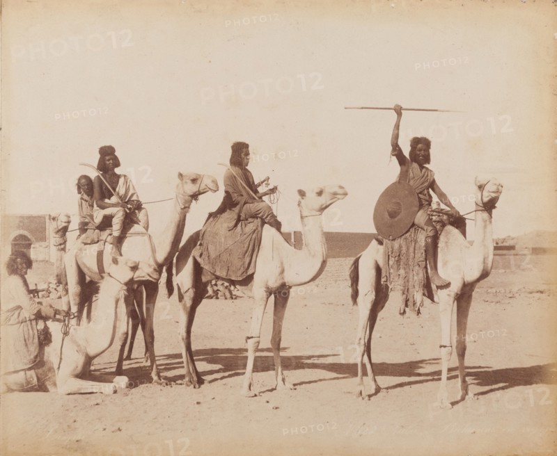 Group of Bicharin men riding camels