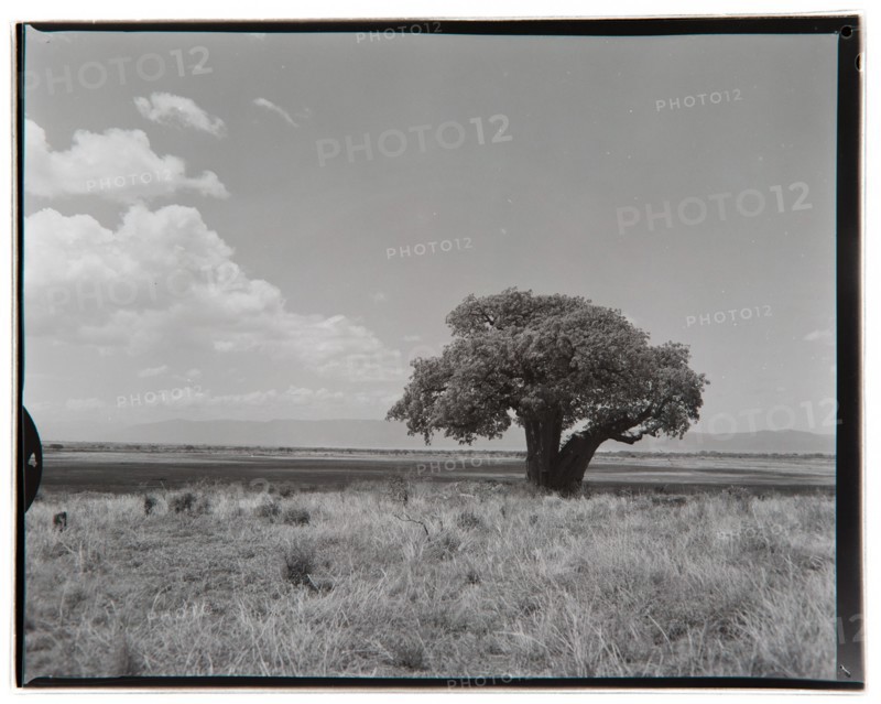 View of Lake Manyara