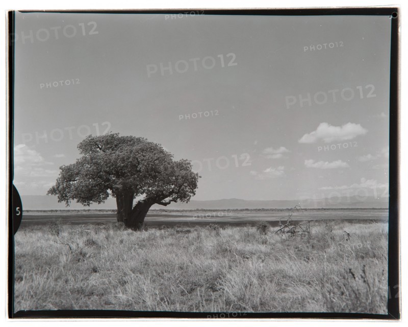 View of Lake Manyara