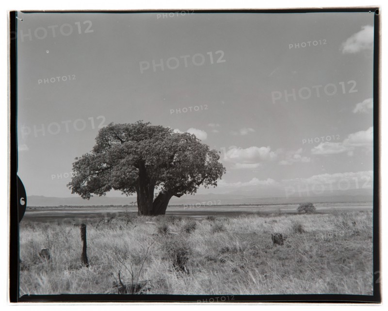 View of Lake Manyara