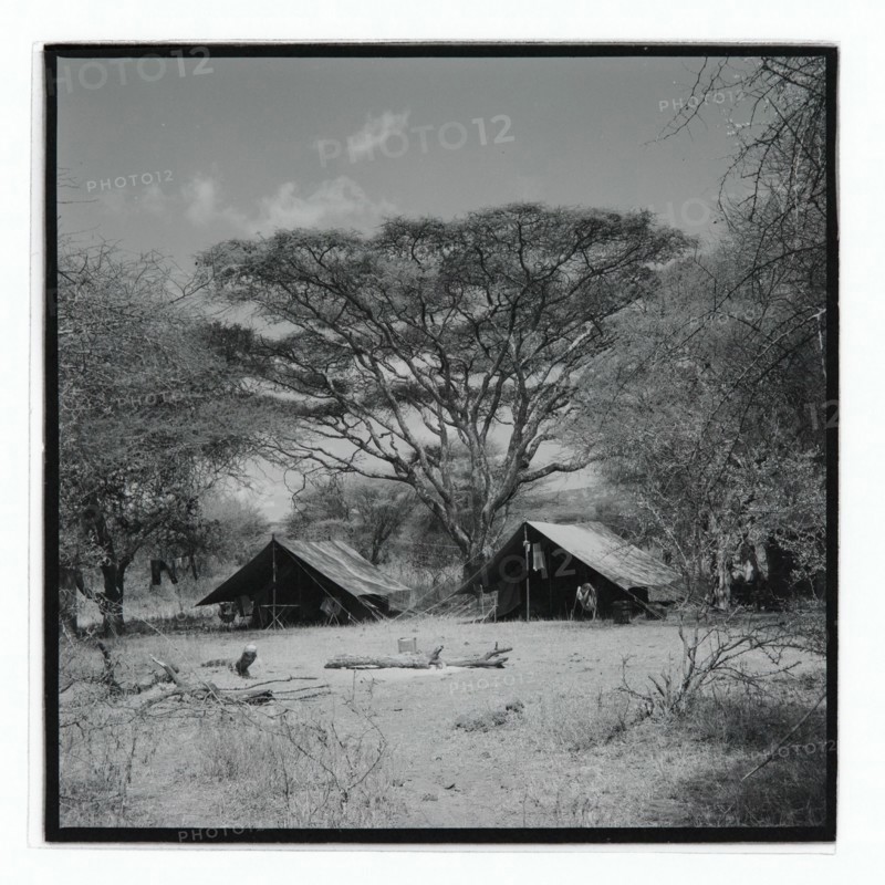 Golden Hill Safari Camp