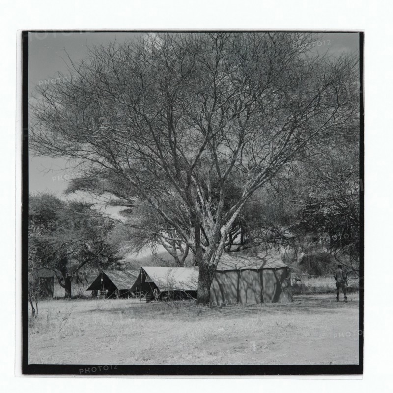 Golden Hill Safari Camp