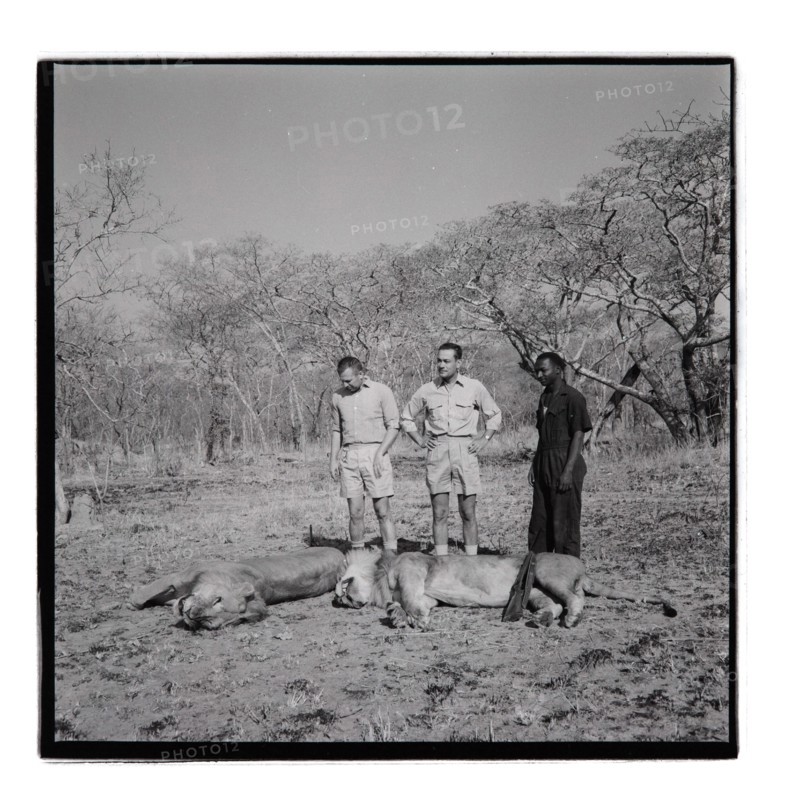 Golden Hill Safari Camp