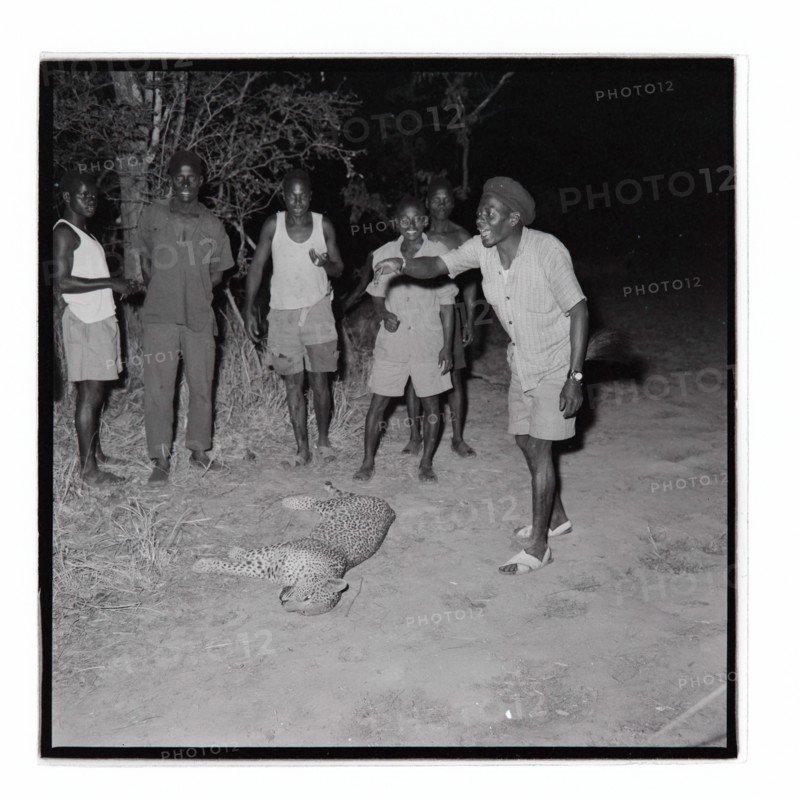 Golden Hill Safari Camp