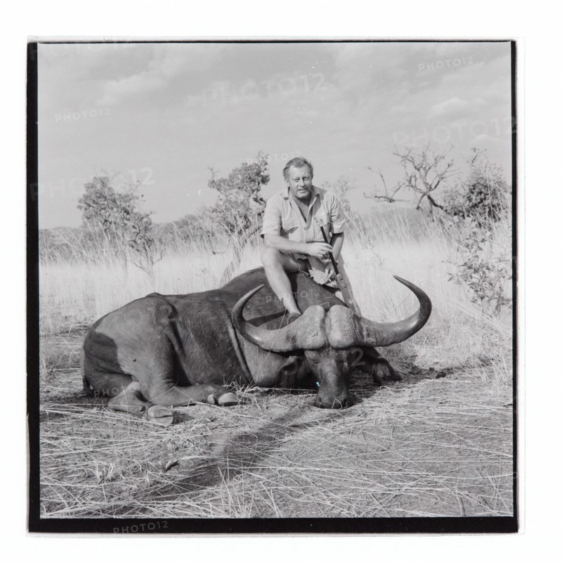 Golden Hill Safari Camp