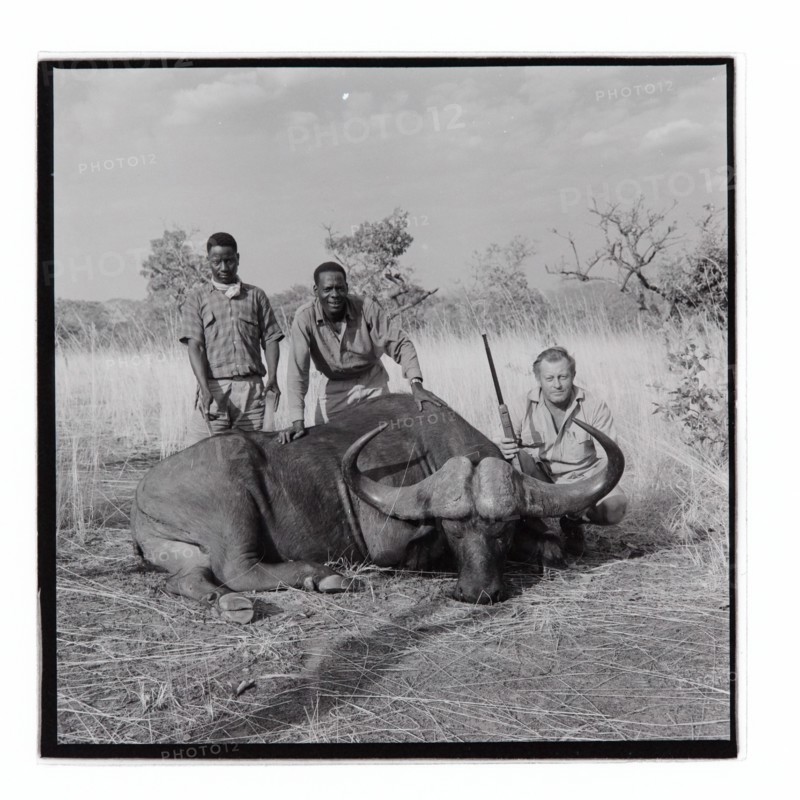 Golden Hill Safari Camp