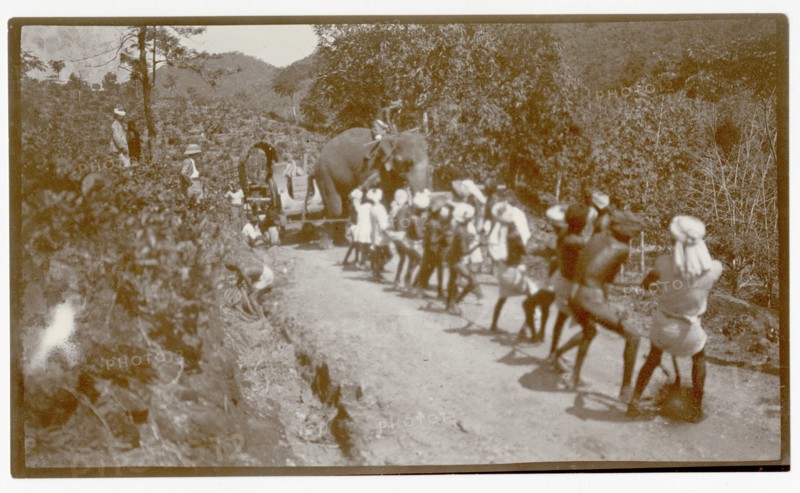 Plantation workers and elephant hauling load