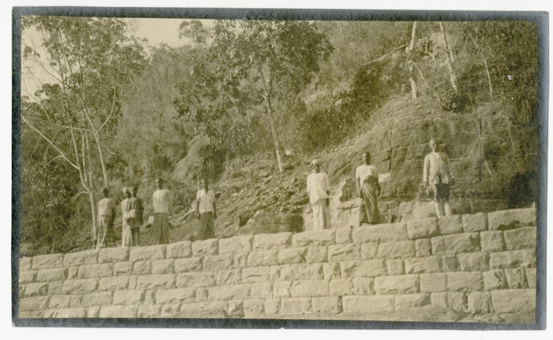 Plantation workers on embankment