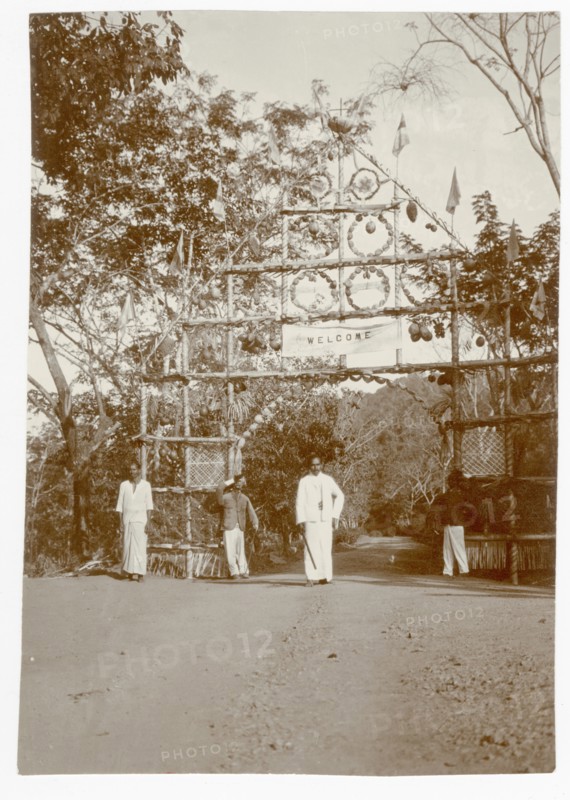Plantation hospital celebration pandal