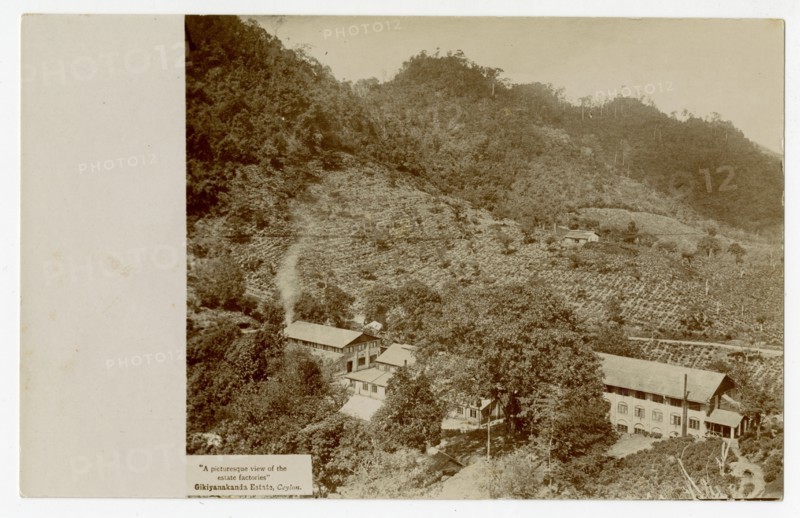 View of the estate factories