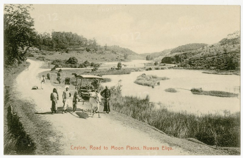 Road by Lake, Nuwara Eliya
