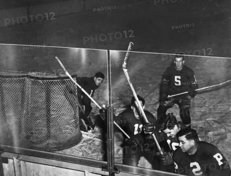 Safety Views For Hockey Fans