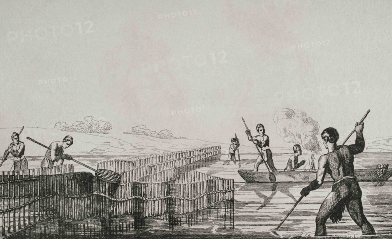 United States of America. 16th century French expedition. Florida. Seminoles Indians fishing. Jacques Le Moyne de Morgues (1533-1588) made the illustrations during the expedition. 19th century engraving by Vernier after the original of Jacques Le Moyne. Panorama Universal. History of the United States of America, from 1st edition of Jean B.G. Roux de Rochelle's Etats-Unis d'Amérique in 1837. Spanish edition, printed in Barcelona, 1850.