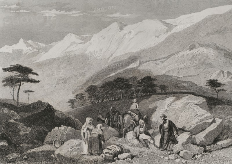 Mount Lebanon. Cedars. Engraving by Ransonnette. ""La Tierra Santa y los lugares recorridos por los profetas, por los apostoles y por los cruzados"" (The Holy Land and the sites traversed by the prophets, by the apostles and by the crusaders). Published in Barcelona by the printing house of Joaquin Verdaguer, 1840.