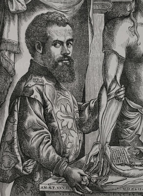 Andreas Vesalius (1514-1564). Flemish anatomist and physician. Portrait. Engraving after a drawing by Jan Van Calcar in 1542. Sciences & Lettres au Moyen Age et a l'epoque de la Renaissance. Paris, 1877.