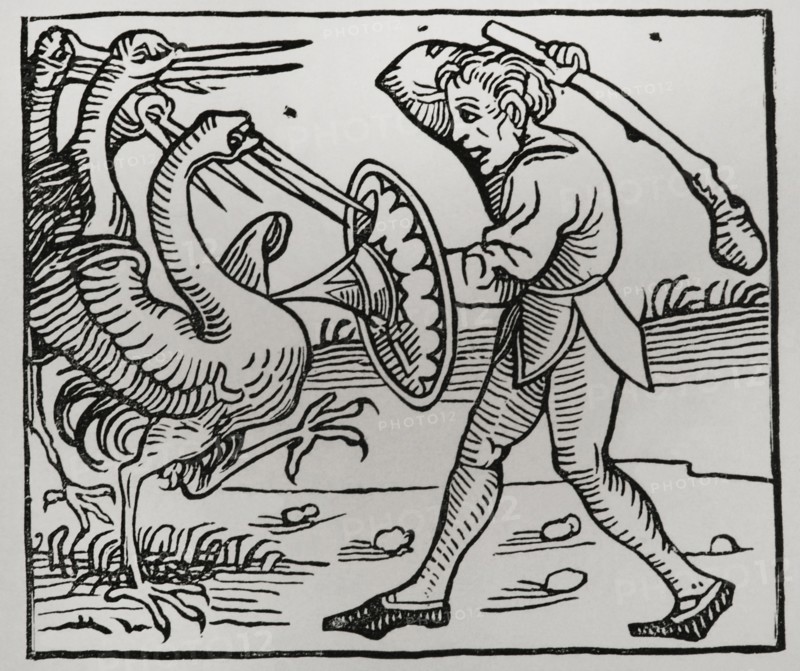 Monsters born from the Deluge. After wood engraving in the ""Chronique de Nuremberg"", printed in 1493. Sciences & Lettres au Moyen Age et a l'epoque de la Renaissance. Paris, 1877.