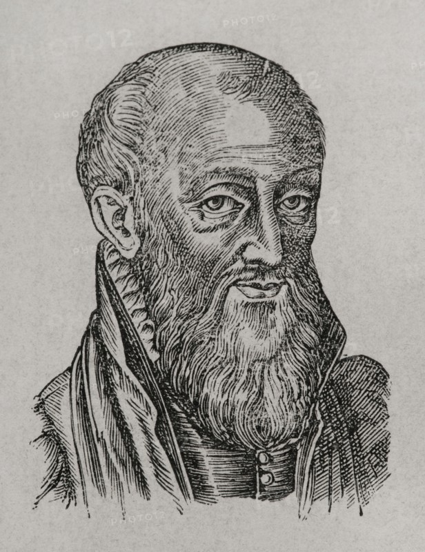 Jean-Baptiste Dumesnil (1517-1569). French jurist. Portrait. Engraving. Sciences & Lettres au Moyen Age et a l'epoque de la Renaissance. Paris, 1877.
