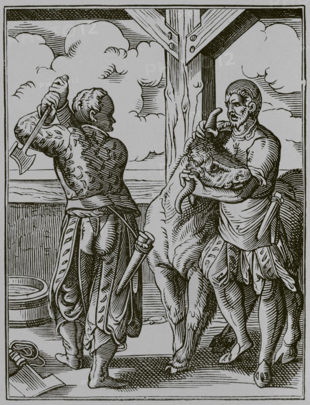 The butcher and his assistant preparing to slaughter an animal. Facsimile after a drawing and engraving by Jost Amman in the 16th century. ""Moeurs, usages et costumes au moyen-age et a l'epoque de la Renaissance"", by Paul Lacroix. Paris, 1878.