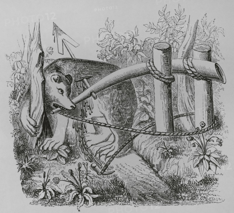 How bears and other beasts may be caught with a dart. 19th century facsimile after a miniature in the manuscript of Gaston Phoebus, published in Paris, early 15th century. ""Moeurs, usages et costumes au moyen-age et a l'epoque de la Renaissance"", by Paul Lacroix. Paris, 1878.