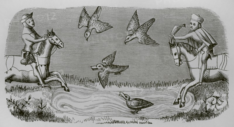 Medieval falconers hunting ducks. Engraving after a miniature from the book of the ""Roi Modus"" (King Modus), 14th century. ""Moeurs, usages et costumes au moyen-age et a l'epoque de la Renaissance"", by Paul Lacroix. Paris, 1878.