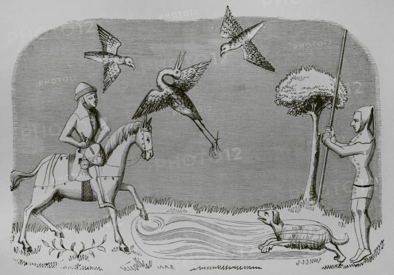 Heron hunting. Engraving after a miniature from the book of the ""Roi Modus"" (King Modus), 14th century. ""Moeurs, usages et costumes au moyen-age et a l'epoque de la Renaissance"", by Paul Lacroix. Paris, 1878.