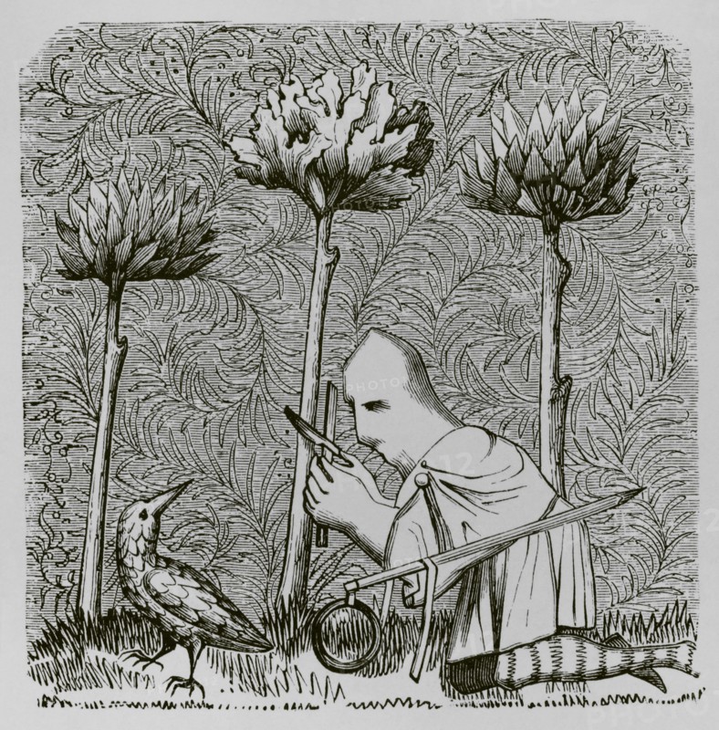 Bird hunter trying to catch a woodcock, disguised and a noose on a stick to slip it around its neck. Engraving after a miniature from the book of the ""Roi Modus"" (King Modus), 14th century. ""Moeurs, usages et costumes au moyen-age et a l'epoque de la Renaissance"", by Paul Lacroix. Paris, 1878.