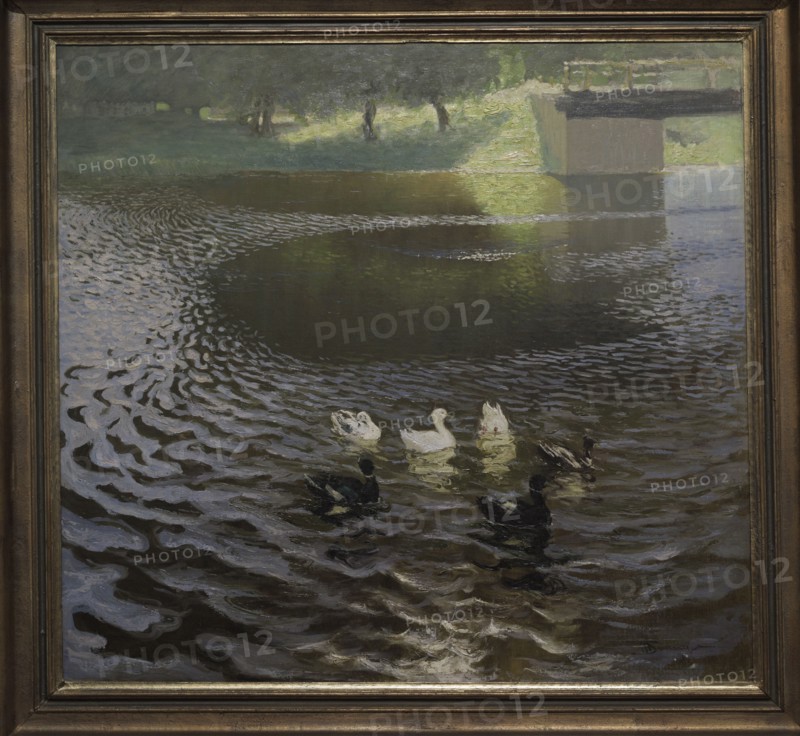 Janis Valters (Johann Walter) (1869-1932). Baltic German artist. Ducks, 1898. Oil on canvas (103 x 111 cm). Latvian National Museum of Art. Riga. Latvia.