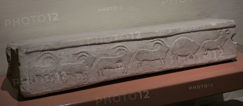 Neolithic Period. Temple Period (3600 to 2500 BC). Tarxien Temple Complex. Malta. Built in honour of a mother goddess of fertility. Architectural fragment decorated with reliefs depicting a procession of animals. National Museum of Archaeology. Valletta. Malta.