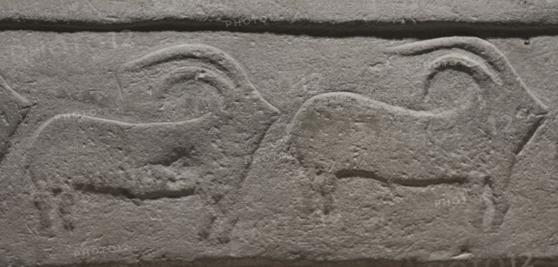 Neolithic Period. Temple Period (3600 to 2500 BC). Tarxien Temple Complex. Malta. Built in honour of a mother goddess of fertility. Detail of an architectural fragment decorated with reliefs depicting a procession of animals. National Museum of Archaeology. Valletta. Malta.
