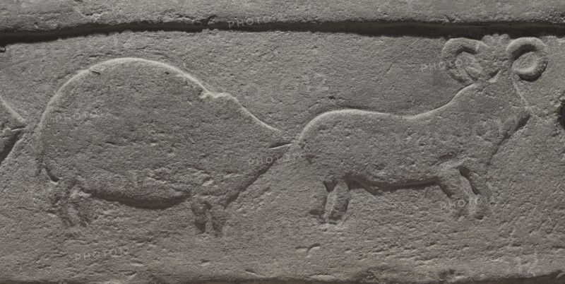 Neolithic Period. Temple Period (3600 to 2500 BC). Tarxien Temple Complex. Malta. Built in honour of a mother goddess of fertility. Detail of an architectural fragment decorated with reliefs depicting a procession of animals. National Museum of Archaeology. Valletta. Malta.