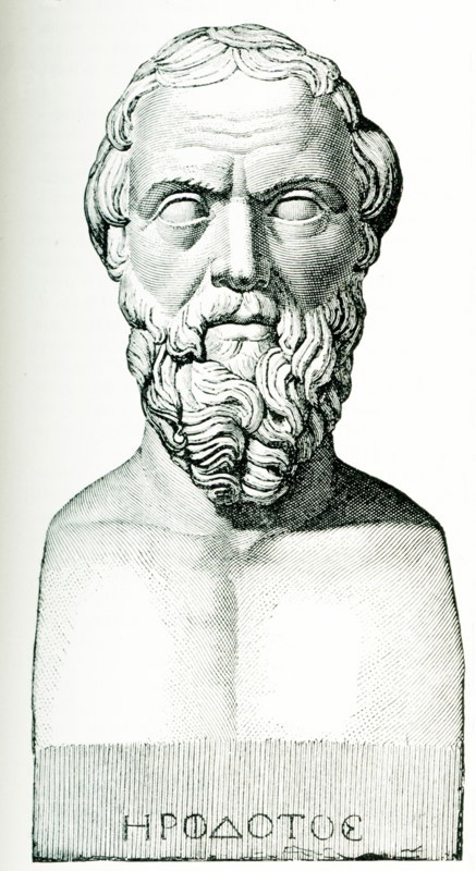 This image is from 1897 and is a copy of a bust of Herodotus (his name in the Greek alphabet below). Herodotus (c. 484 - c. 425 BC) was an ancient Greek historian who was born in Halicarnassus in the Persian Empire. He is known for having written the book The Histories, a detailed record of his ""inquiry"" on the origins of the Greco-Persian Wars.