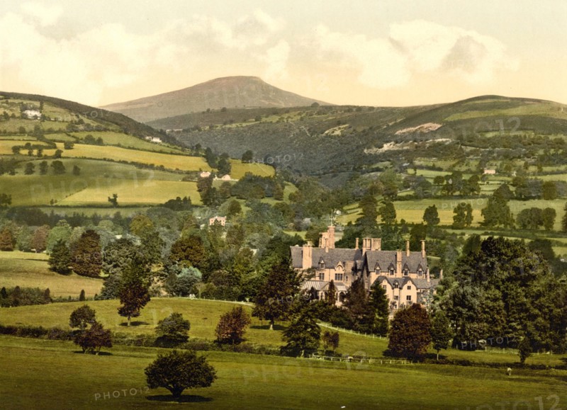 Nevill court.