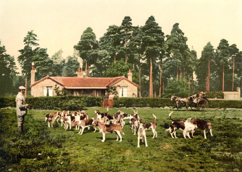 Drag hounds at Royal Staff College.