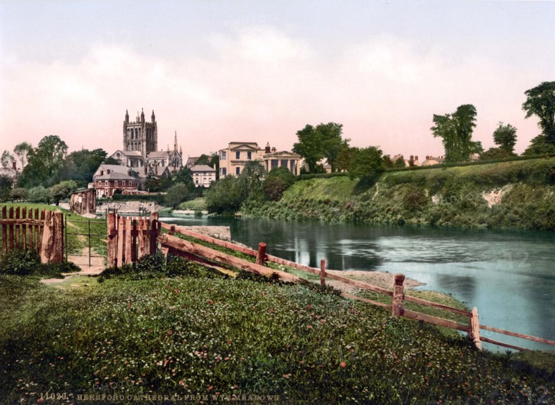 Cathedral of Wye meadows.