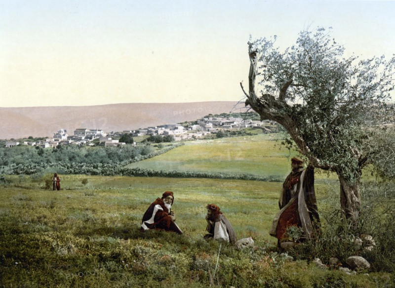 General view, Cana of Galilee.