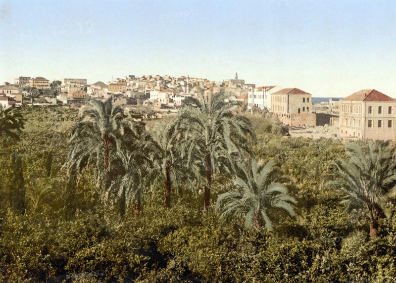 Jaffa.