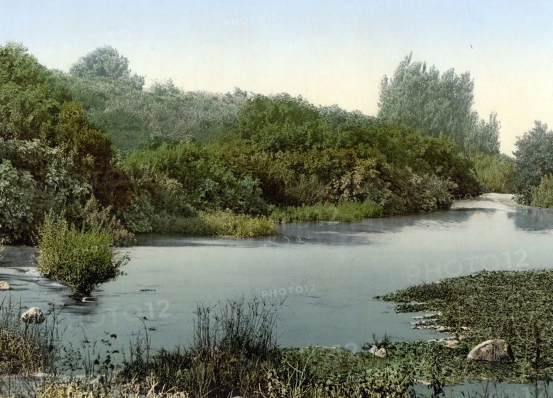 Site of Dan and source of the Jordan.