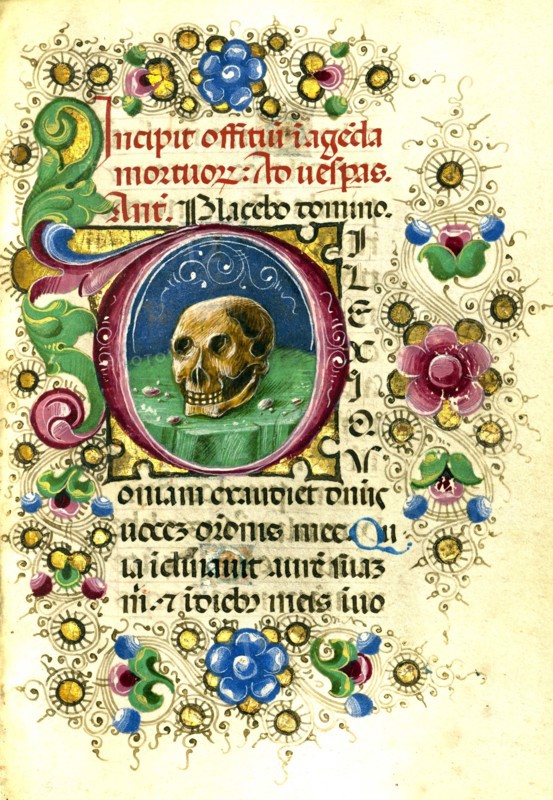 A human skull on a table.