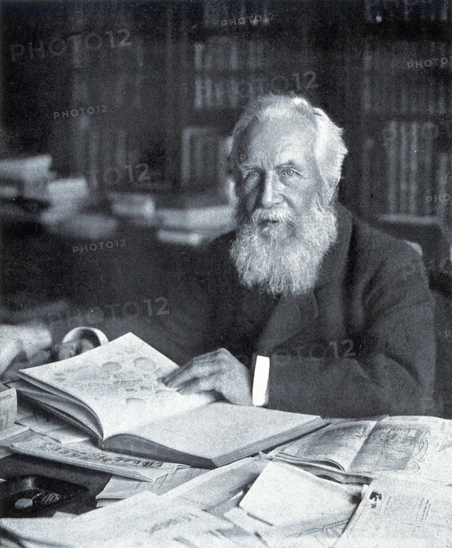 Ernst Heinrich Philipp August Haeckel (16 February 1834 - 9 August 1919) was a German physician, zoologist, philosopher, draughtsman and free thinker who, from the 1860s onwards, developed the ideas of Charles Darwin into a special theory of descent, Historic, digitally restored reproduction from an original of the time..