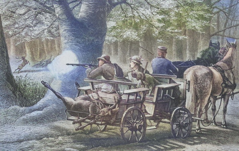 Hunter shoots a stag from the carriage.