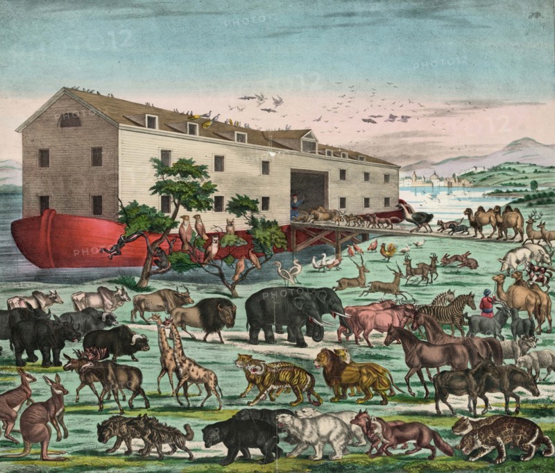 The animals enter the ark in pairs, Noah's ark was, according to the biblical book of Genesis, a buoyant box built by the patriarch Noah, Illustration from 1550, Historic, digitally restored reproduction from an original of the time.